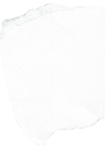 White Paper